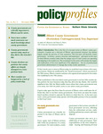 Policy Profiles Vol. 6 No. 2 October 2006 by Northern Illinois University Center for Government Studies, James M. Banovetz, and Dawn S. Peters
