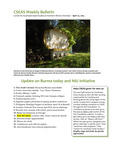 CSEAS Weekly Bulletin (April 22, 2013)