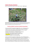 CSEAS Weekly Bulletin (April 26, 2010)