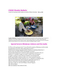 CSEAS Weekly Bulletin (January 4, 2010)