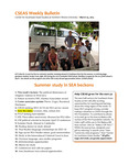 CSEAS Weekly Bulletin (March 25, 2013)